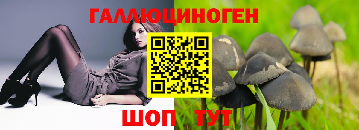 Псилоцибиновые грибы Psilocybine cubensis  Галлюциногенные грибы Psilocybe  Еманжелинск  Вход с VPN 